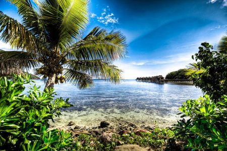 Statt Bonn. Viele Teilnehmer der Klimakonferenz bedauern, dass sie nicht in Fidschi stattfindet. Das kleine Land wäre aber mit den erwarteten 25'000 Teilnehmern überfordert gewesen. (Foto: Adam Selwood / Flickr)