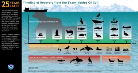 Comeback kids. Die meisten Arten haben sich mittlerweile von der Exxon Valdez Katastrophe erholt - mit einer nennenswerten Ausnahme. (Infografik: NOAA)